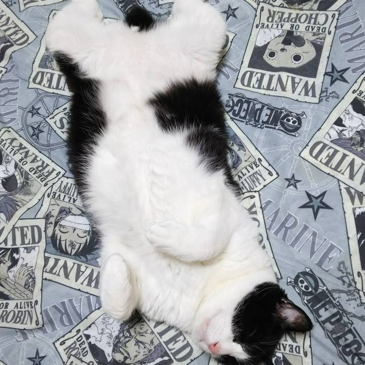 7bb0fb17 f590 4e1b b370 9de425e103b9 1526483439380