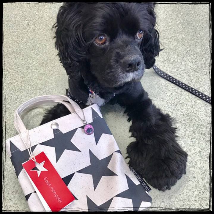 7bb0fbc1 157c 47a5 8d79 cd17544407e1 1527656373170