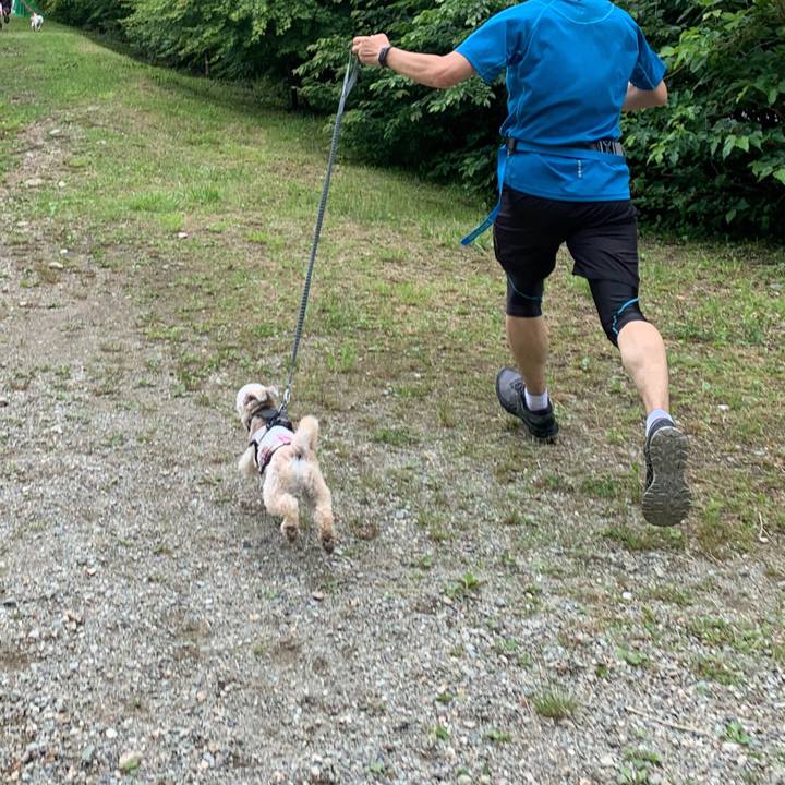 7bb1096b 4082 466f ab89 c863aafda3f2 1560691249094