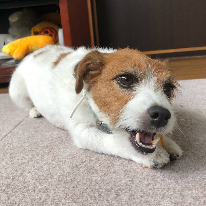 7bb13e37 e4b8 4093 9ad7 580d3f769668 1562945534753