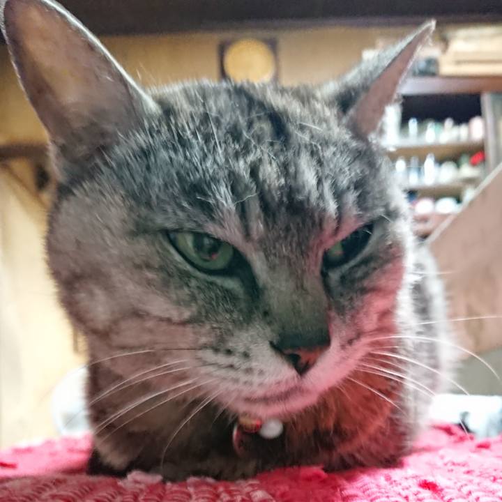 7bb1a3e0 b31c 4f4c 87a5 26fa4cf61d8e 1562406420336