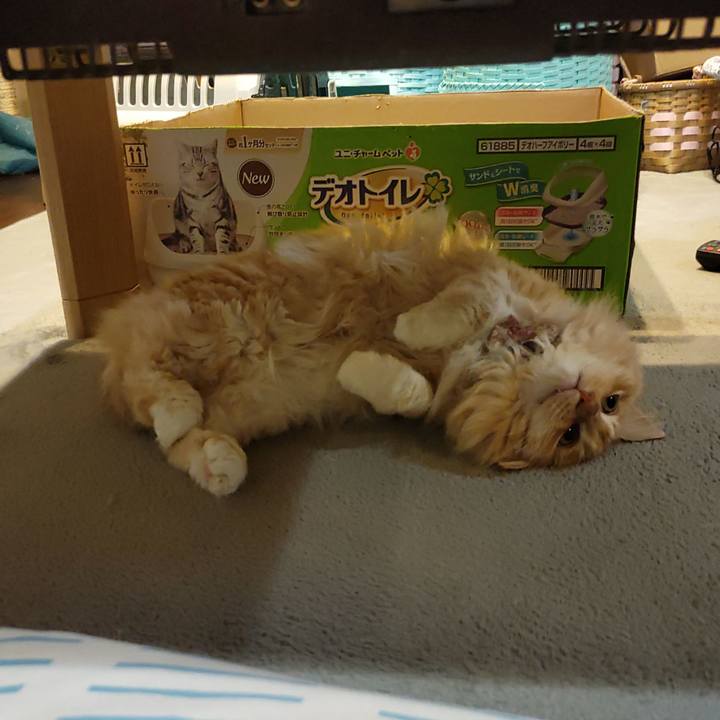 7bb1e73f 37c9 430b 9461 f78445818759 1685102100299