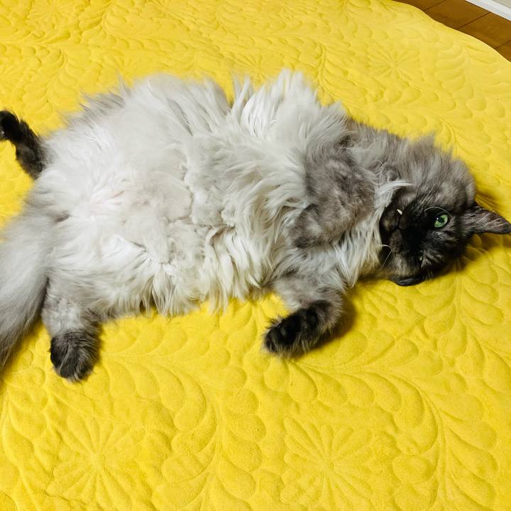 7bb25823 8d13 430b a1e6 c60802fd6824 1758589255590