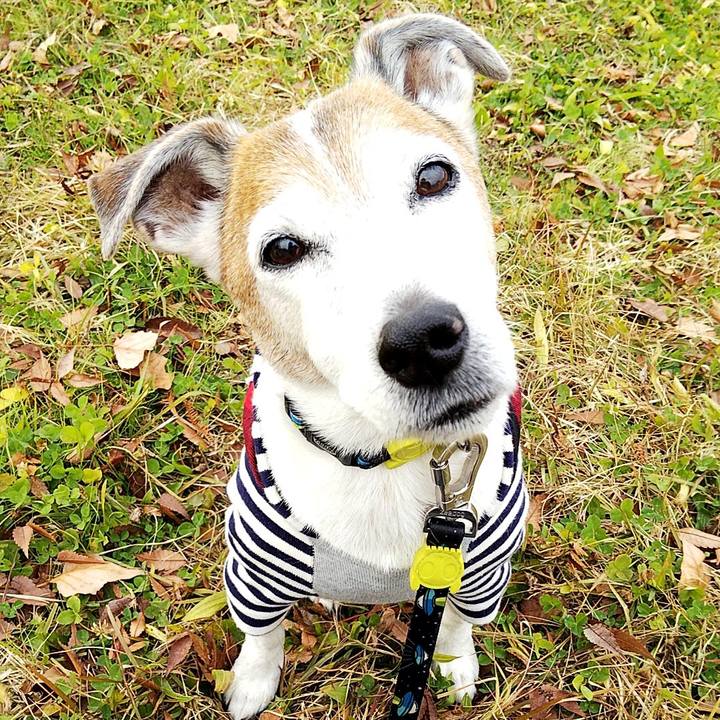 7bb2a899 7711 46fe 9a83 7696f94d9c01 1576906731847