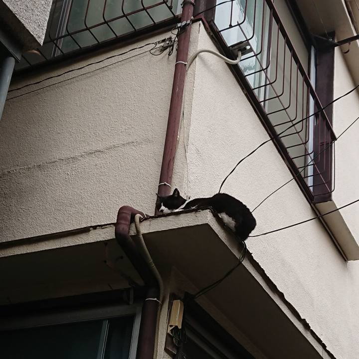 7bb33a2a b925 4608 a868 24f8336de8f1 1589152563357