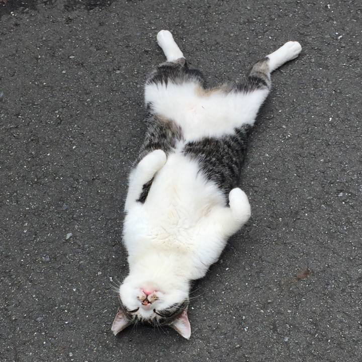 7bb358e2 8db4 47dd a9ef 43b12bc2c43c 1614950335587