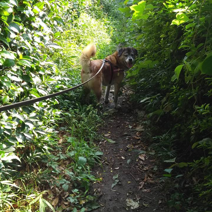 7bb37544 6023 4acd 9605 994da52dd5d1 1568158652645