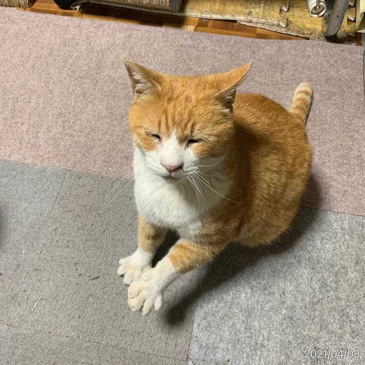 7bb3a9f1 165c 4d5a 8d4b caea19cc93fe 1617449536831