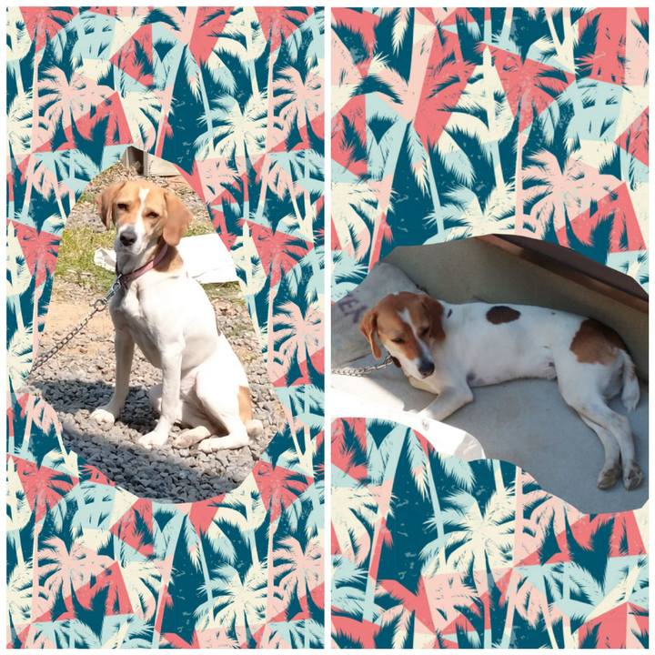 7bb3c316 efa7 4f16 8785 fc0808831a68 1588056065688