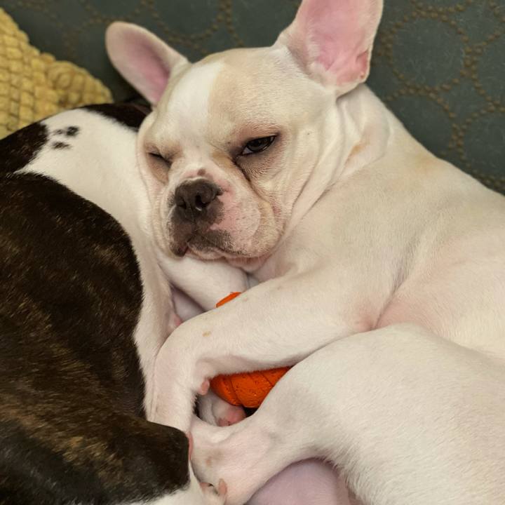 7bb3f3be 3986 41f8 b11e c436086ecc28 1606225874007