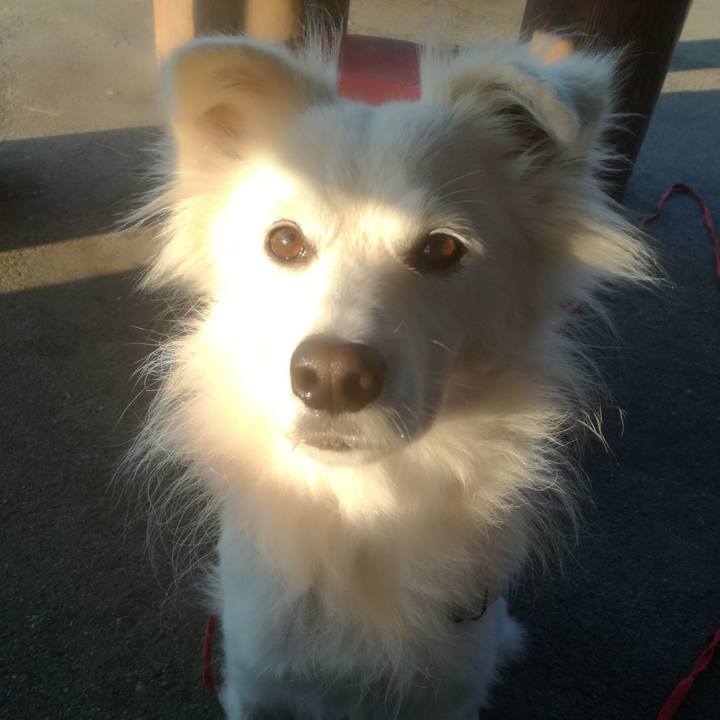 7bb3fb34 79e4 4093 95cd 468a609eb2be 1511827678753