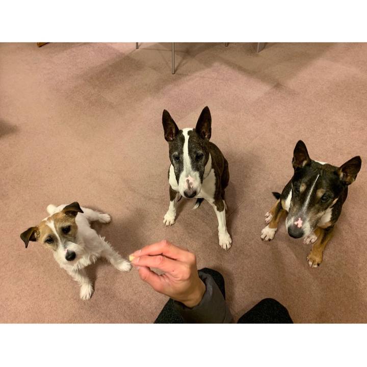 7bb4212c c1cd 4174 b651 be58f6986aa2 1583494480284