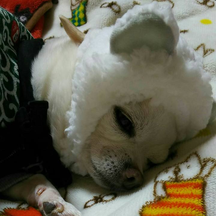 7bb428ae d112 461f a16a 80d1cf0bc74f 1516963994754