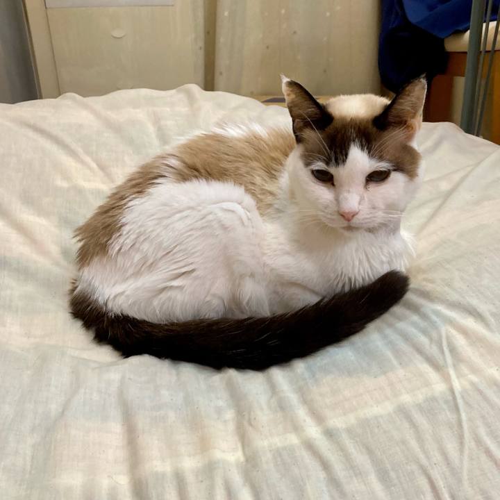 7bb428b0 e859 4e6e 82aa ffa1e7d29086 1678068152282