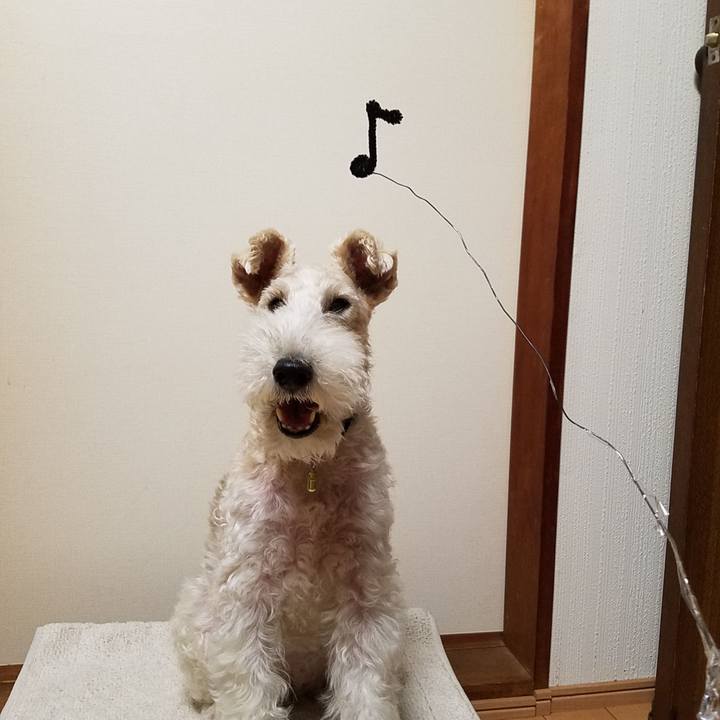 7bb45a15 1c14 428c a381 a449af4e919e 1539351848308