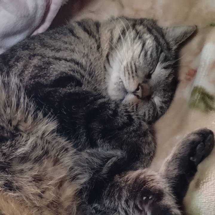 7bb46380 fca9 43c5 a082 12c1fe8d83b7 1676696835231