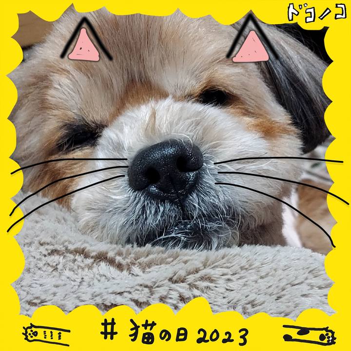 7bb48325 dc32 4fbb a20a 53f292b0b780 1677057765225