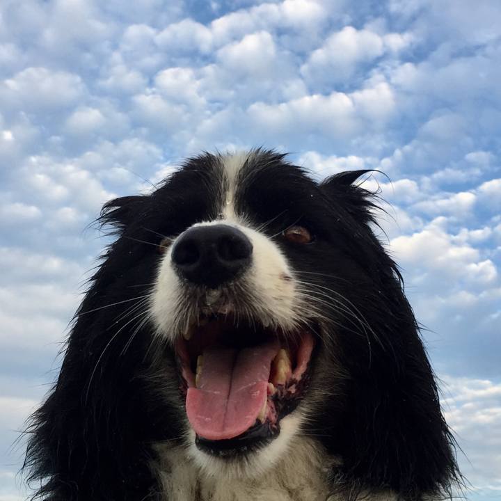 7bb4927a da22 4645 a46b c71abc11a5de 1565138643509