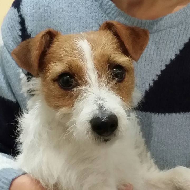 7bb4c414 54db 4c72 8656 dc3633b9701e 1512086566191