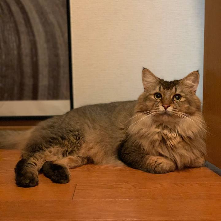 7bb4f6bc 4255 4fe1 9b43 86aa6b68b618 1756957460416