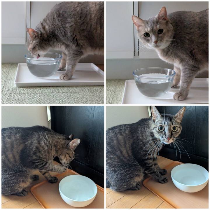 7bb50dc7 cc63 4395 afb2 72399576d40b 1757059802532