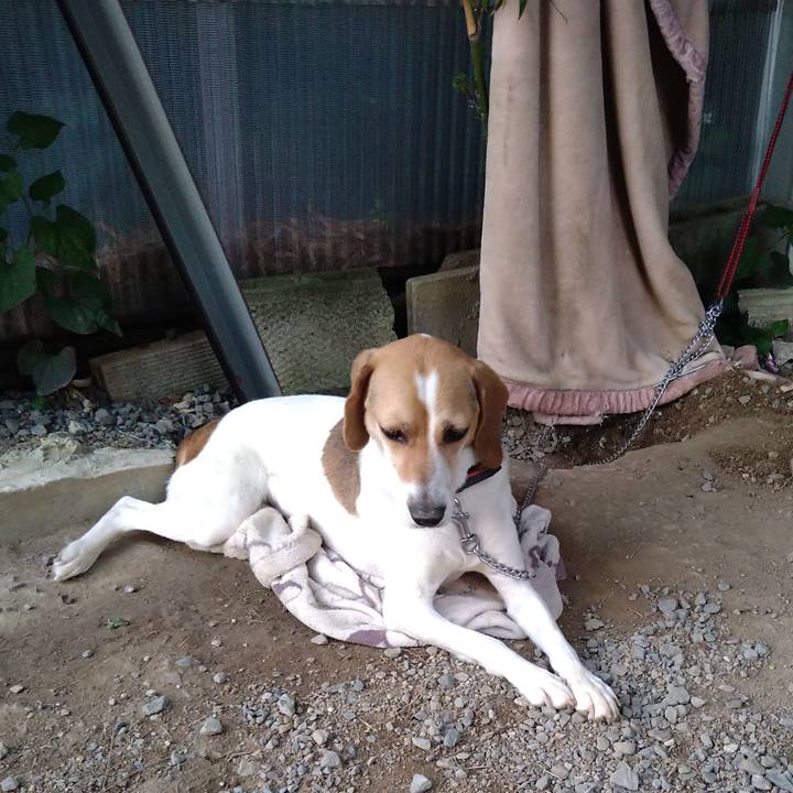 7bb5475a 1b77 4642 ae4e 916f730285b1 1623076942786