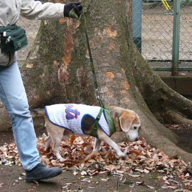 7bb56613 3a0c 4016 bf5d eded5b3efd7c 1675647460995