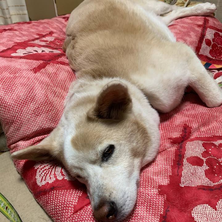 7bb59fc3 219a 4cdd a199 5c0211d474e3 1665412618139