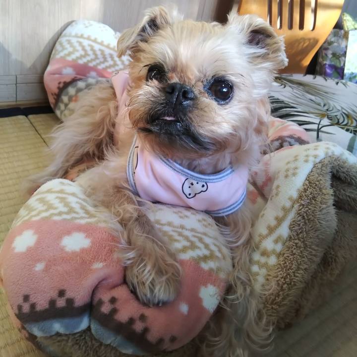 7bb5c548 5ab1 4df9 9fe4 28d8b7aed700 1703417790422