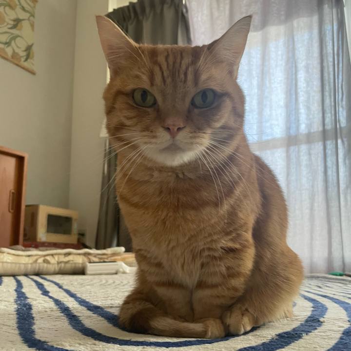 7bb61ef8 6513 46c3 bd04 3208fc5d08b2 1764810987440