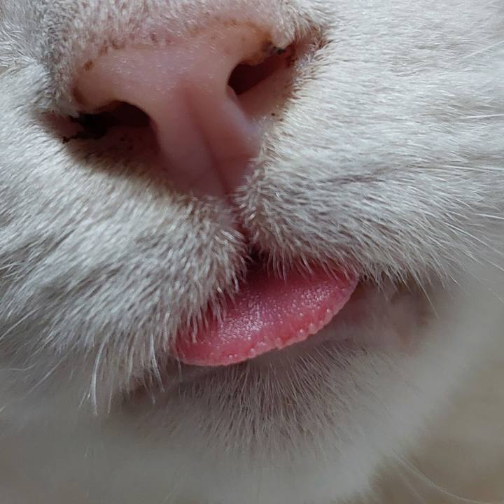 7bb67303 cb52 4cd4 b1c7 bf631ff74247 1725882701956