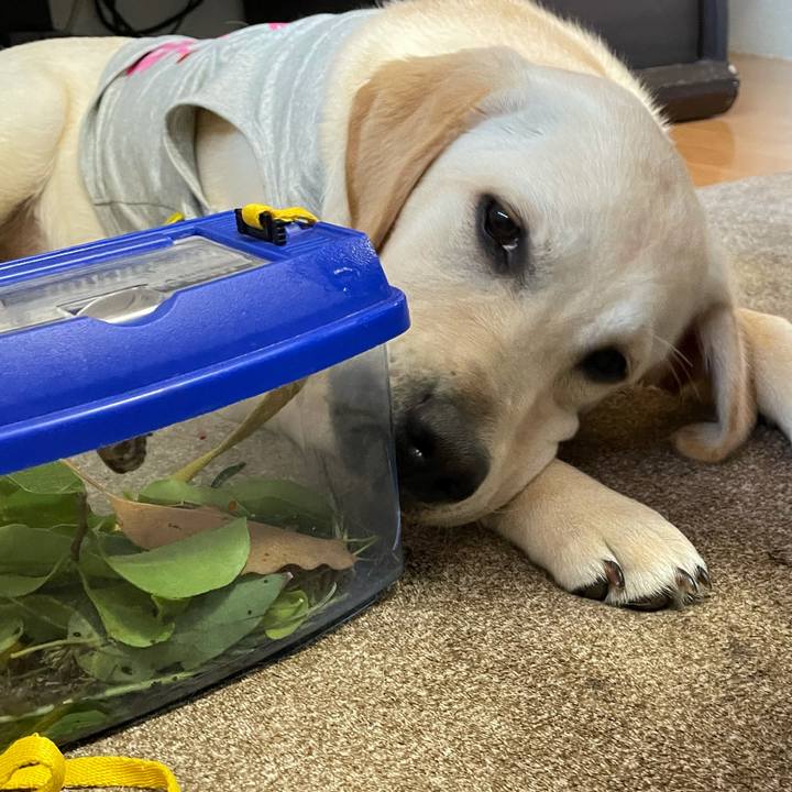 7bb683ff dc4f 4fc0 8cd1 c4abfcba52a8 1623141532752