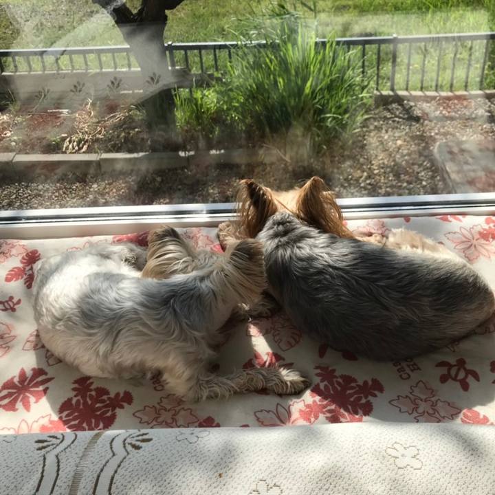 7bb69f7e bbf5 46a3 8289 a89afbc32195 1561626236484