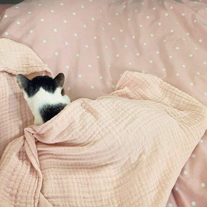 7bb6bd24 6fc0 4ada b1d3 cde13a10c07b 1600657476851