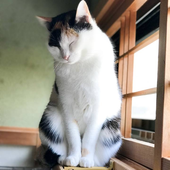 7bb6ccd5 5936 41ba bb8a e63b70bd8d7a 1518186864623