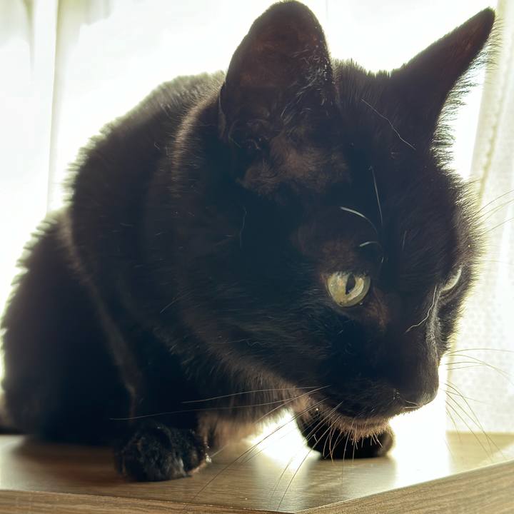 7bb6ea0f 9af3 46b2 bf2d 136a3912bb19 1708133299071