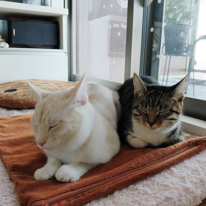 7bb6fe6a 3c85 4376 af82 2d7a906059bb 1635033980967