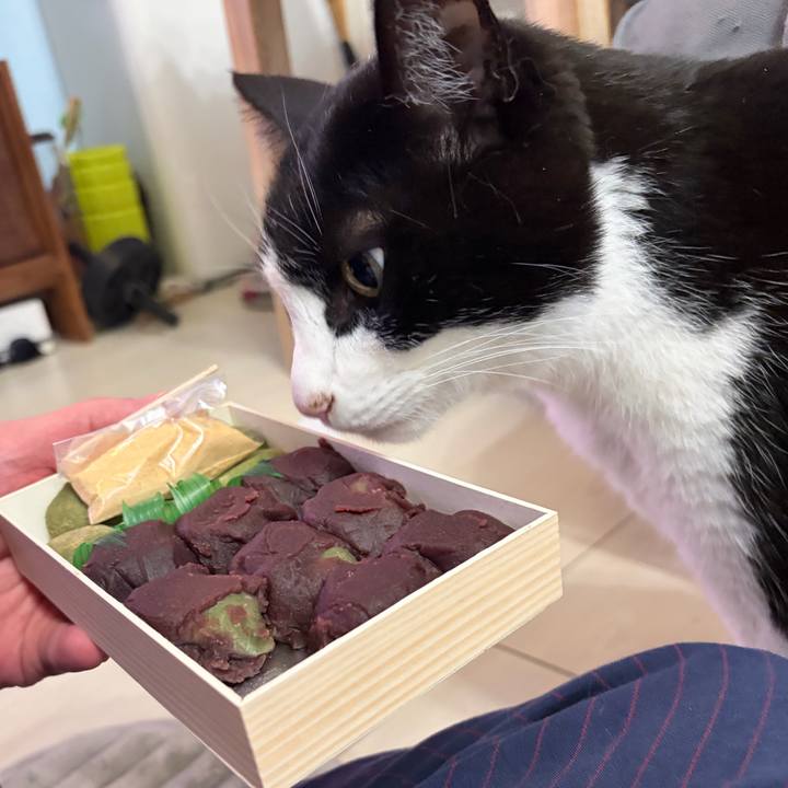 7bb74c45 d3fd 49a6 9fcd 34c8ff090b18 1775922716473