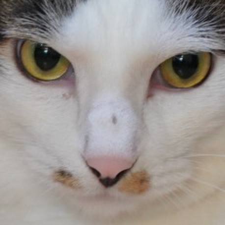 7bb74db7 56fa 44f5 9a0c a8a62bedb0ba 1657982940742