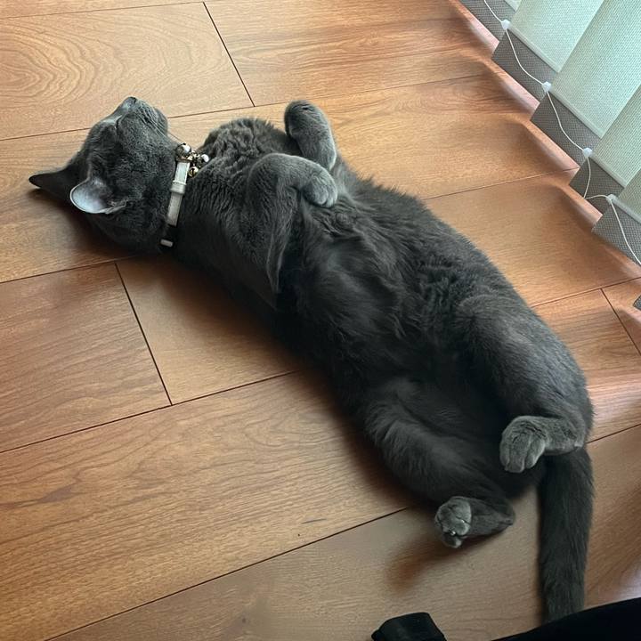 7bb7598d 9fe2 49db ad0f aa15d4b859fb 1692256325693