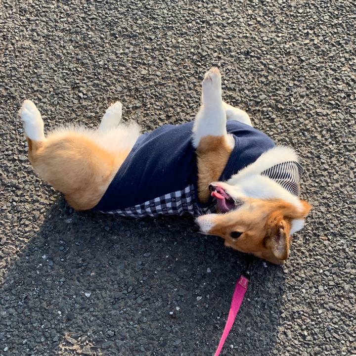 7bb75b94 2216 4f0e ba4f 437d6359fdcc 1564437838017