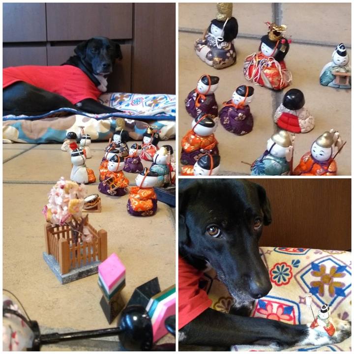 7bb766a1 64f3 4c7e bfa2 8ba5e64fc3bd 1613628247453