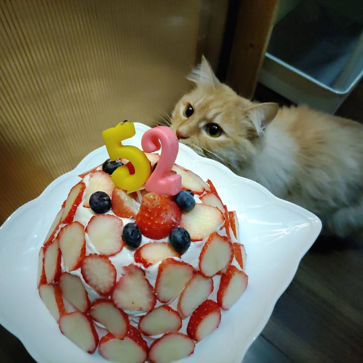 7bb78897 169c 48eb bb4a 26259c6d1b98 1708083471984