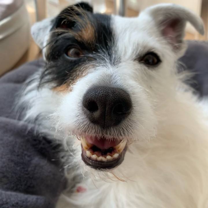 7bb78fc7 be1e 45bb 9012 3e0831008dfd 1619069077519