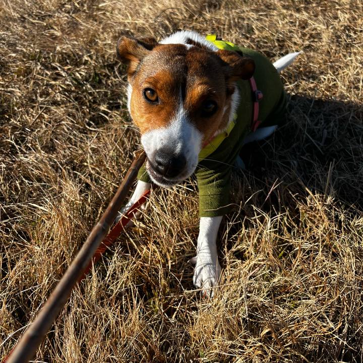 7bb7e8e1 c6b6 4501 9731 66b26cd85bd6 1734870959412