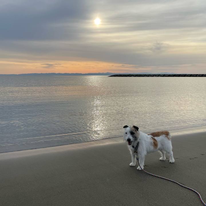 7bb807b8 648b 427a a208 15ee1feda931 1685006110424