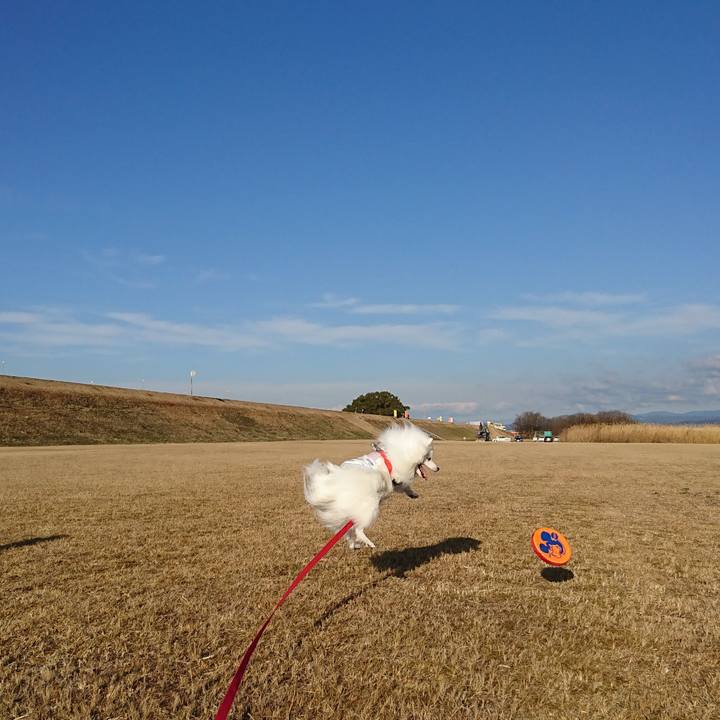 7bb81aa3 c557 4d7c b78c 8e1ec1b7f812 1611558133935