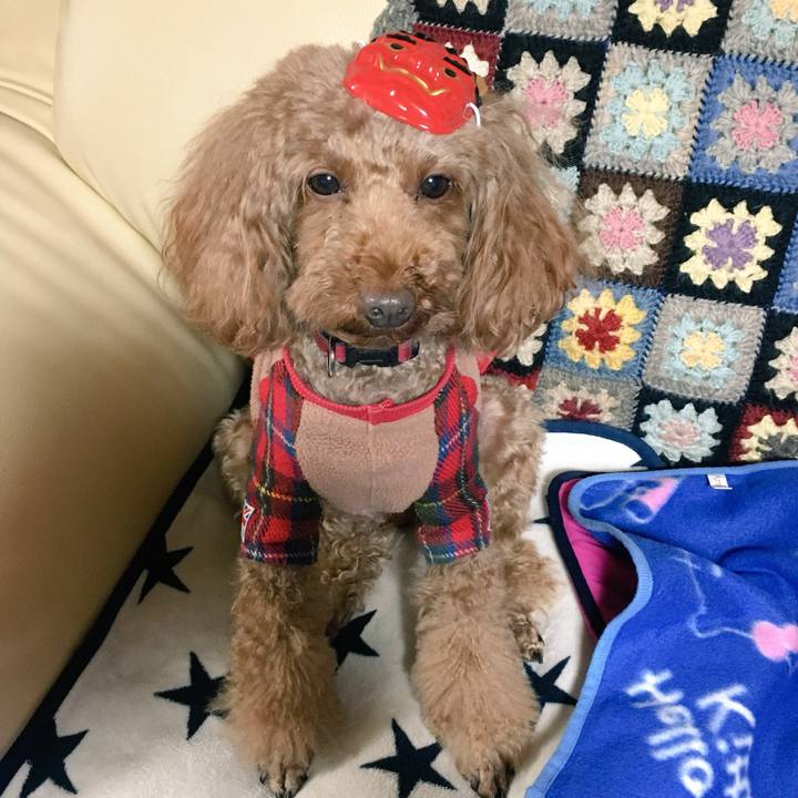 7bb82bfe cddf 42ba a9ff e28f9fd0ac3a 1517619055513