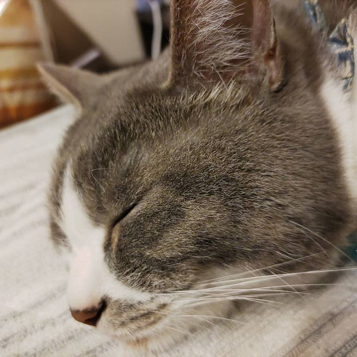 7bb85d03 efe3 4022 a688 f3fcc68e5175 1713967171432