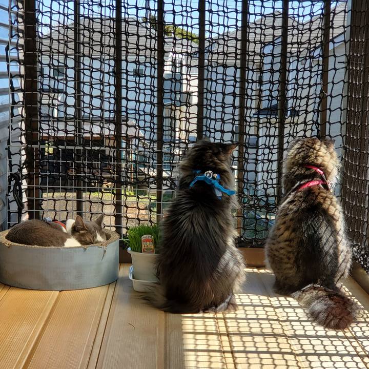 7bb87c15 b617 444f 9524 02de2487ea6c 1711573888563